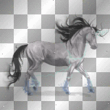 Licorne