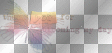 soave text thank you butterfly rainbow