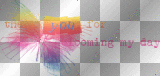 soave text thank you butterfly rainbow