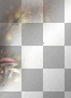 ||♥♥anna25marco♥♥|| deco autumn
