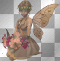 brown fairy.w