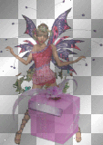 mariposa