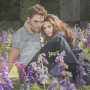 Twilight Bella Edward background