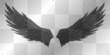 Wings