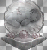 Baby -Muschel