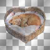 FANTASY VINTAGE GOTHIC CAT BASKET HEART