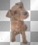 FANTASY VINTAGE GOTHIC DOG