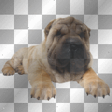FANTASY VINTAGE GOTHIC DOG
