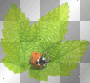 SPRING SUMMER LADY BUG GREEN LEAVES