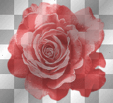 GOTHIC VINTAGE FLOWERS ROSE RED