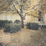 korolek1976