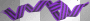 EMO BOW RIBBON PURPLE