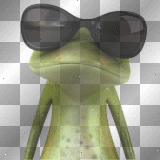 FUNNY GREEN FROG BLACK SUNGLASSES