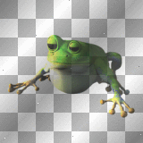 FANTASY GREEN FROG FUNNY
