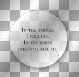 in the garden i will die. in the roses they will kill me. " circle quote white + black shadow " [ © Aᴇɢʏᴏ ]