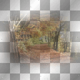 criss1946 autumn