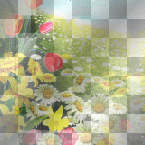 Bg spring easter flowers