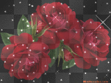 ROSAS