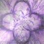 Animated background purple