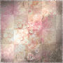 Animated background peach pink  flowers