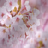 Flower Sakura By XmangamixX