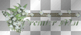 AM9505 bouquet fleurs/roses