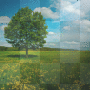 BACKGROUND (by FaINAS)