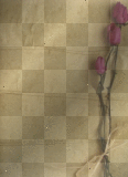 ♥ Vintage / Beige Background © by Nina