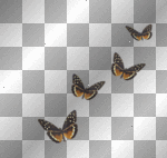 WIOSNA SPRING SUMMER BUTTERFLY 