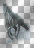 Pferd