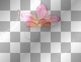 Flower pink