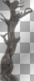 fantasy tree transparent gothic strange 