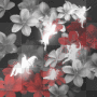 Angels & Flowers!!!LW