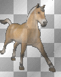 horse animated<уνσиαℓℓ> 