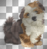 dog hund ludmilla1959         
