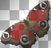 butterfly animated<уνσиαℓℓ>