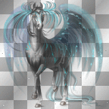 Howrse Pegasus [ Yilan° ]