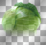 Cabbage green