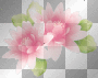 accessories deco rosa pink ludmilla1959