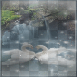 swans animated bg