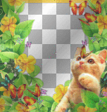 rahmen frame ramka cat ludmilla1959