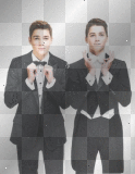 Harries Twins