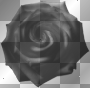 artemia transparent flower rose-black