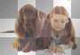 artemia transparent child-girl-lying animal-dog