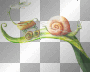 fantasy spring-summer-autumn - by michelle1234oi™