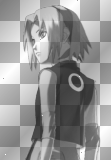 ѕᴀᴋᴜᴙᴀ нᴀᴙᴜᴎᴏ