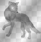 Wolf by kaitycatkaitlyn