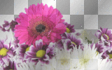 accessories deco violett violet ludmilla1959