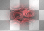 red roses - by michelle1234oi™