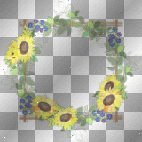 frame flowers  Louise♥♥  